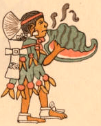 Aztec Conch Trumpeter (quiquizoani), Codex Magliabecchi